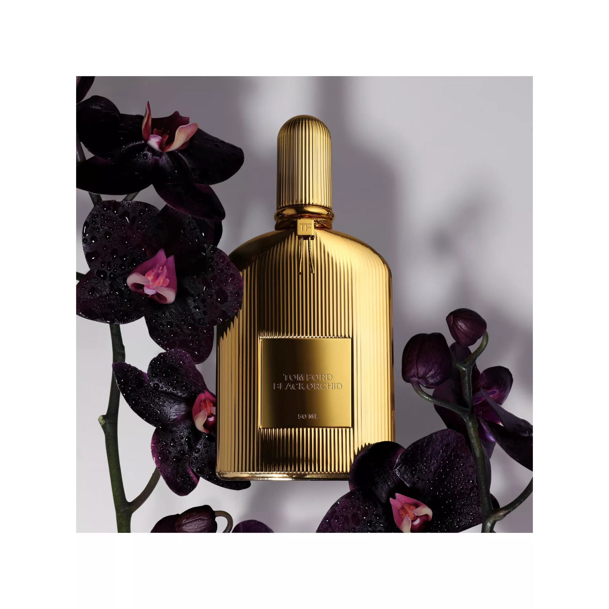 Tom Ford Black Orchid Parfum Spray 50ml